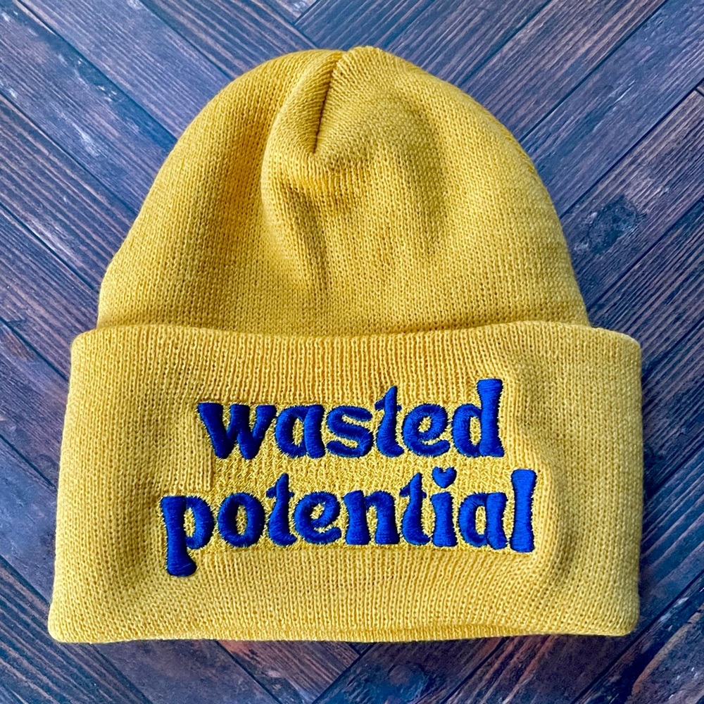 Wasted potential knit winter hat beanie made in the USA